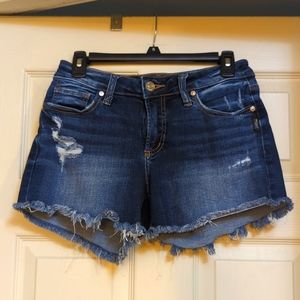EUC Silver Suki Shorts - W25/L4